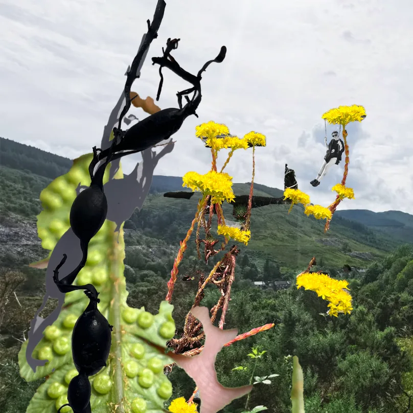 Photo of drip flow